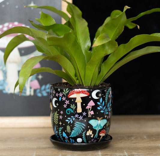 Dark Forest Print Ceramic Plant Pot With Saucer